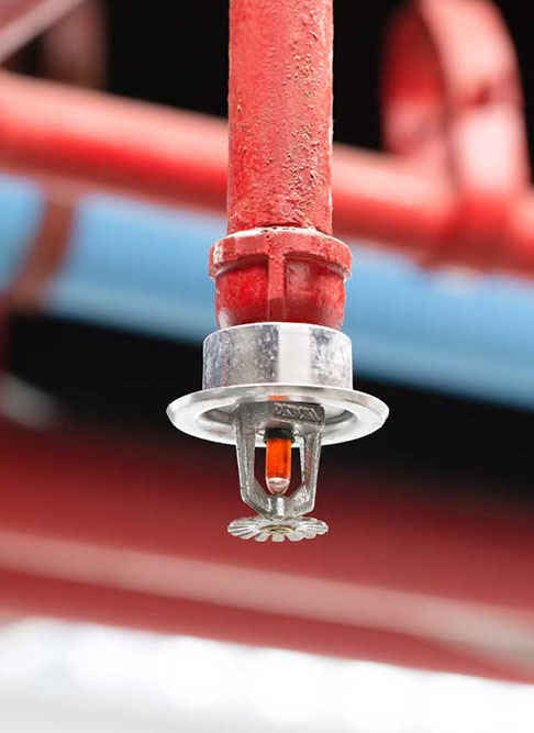 Dettaglio Sprinkler
